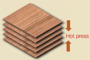 Laminated Veneer Lumber 