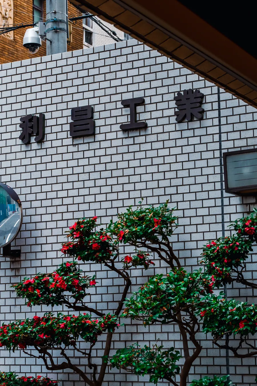 会社概要