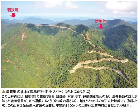 滋賀県高島市朽木の山林